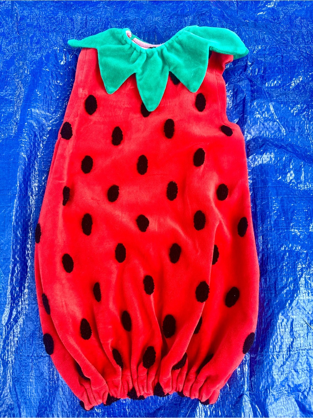 Anthropologie Kids Strawberry Costume in Red with Green Collar and Black Seeds